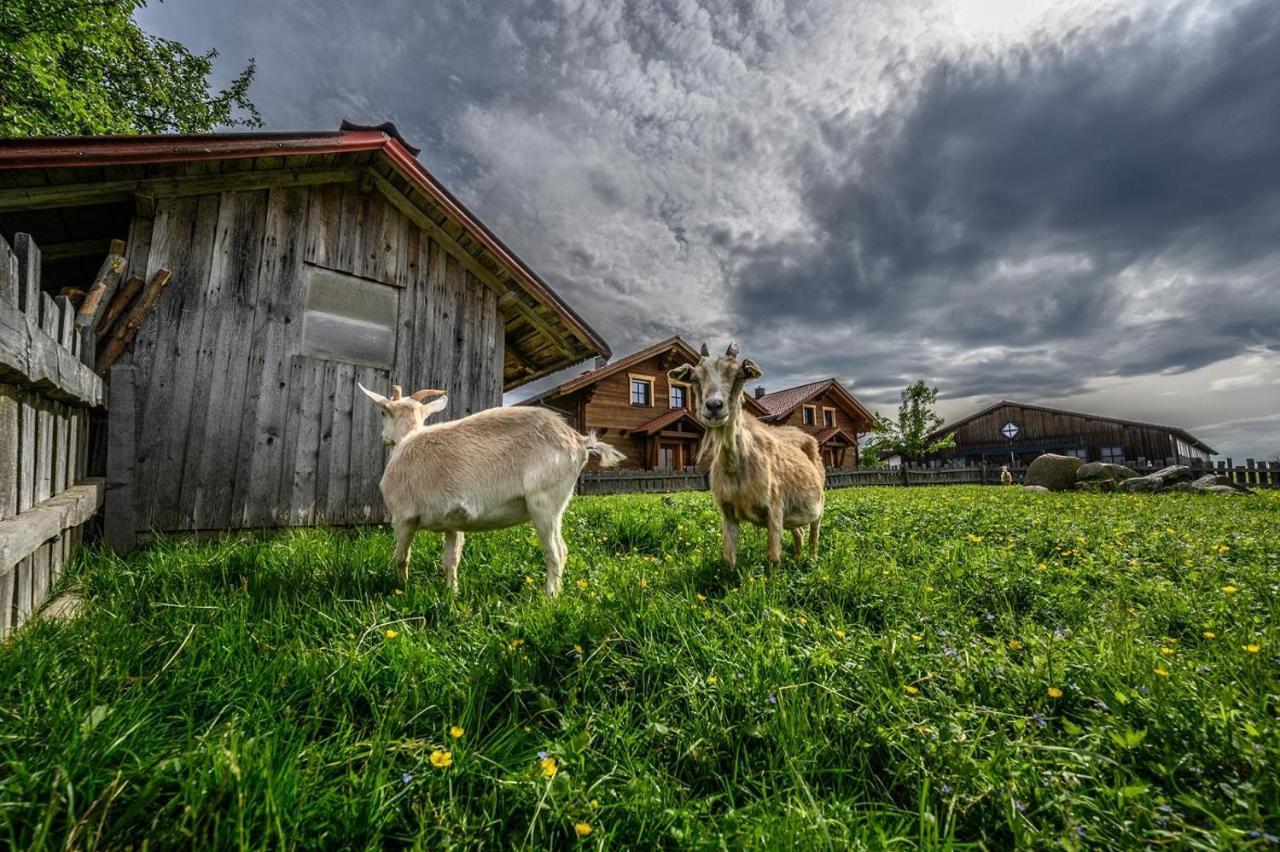 Wenzlhof Villa Zwiesel Bagian luar foto