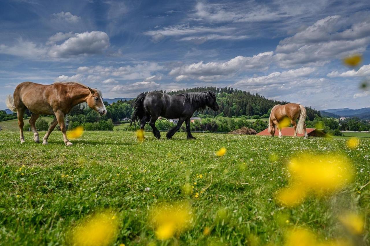 Wenzlhof Villa Zwiesel Bagian luar foto